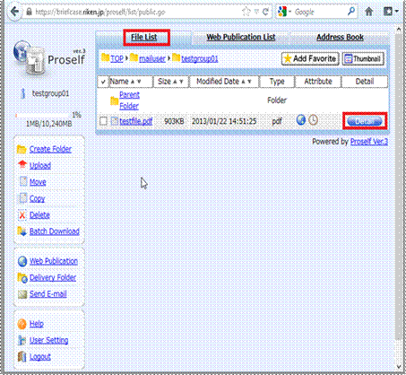 Click the [Detail] icon on the line where the Web publication is listed in the [File List] tab.